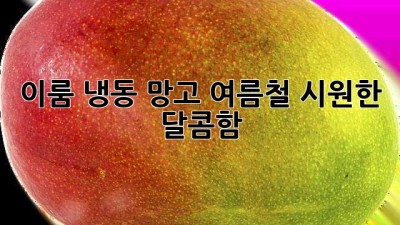 이룸 냉동 망고: 여름철 시원한 달콤함