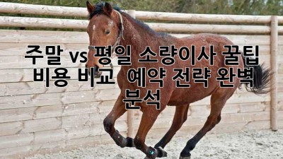 주말 vs 평일 소량이사 꿀팁🍯 비용 비교 & 예약 전략 완벽 분석!