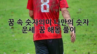 꿈 속 숫자의미🔮 나만의 숫자 운세 & 꿈 해몽 풀이